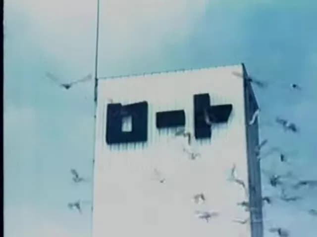 ロート製薬のCMで飛んでる鳩いるでしょ？