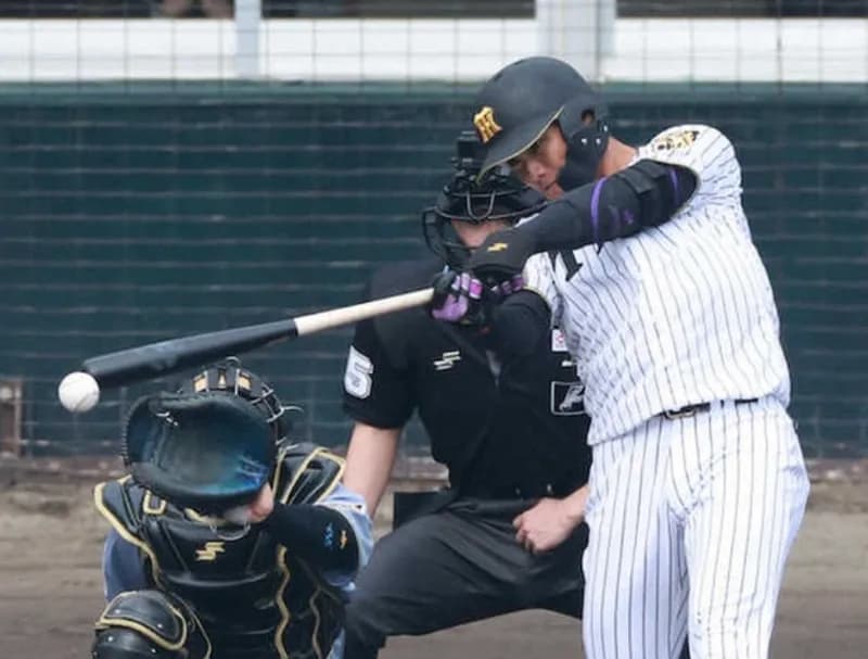 阪神の二軍、本日の安打者が小幡、糸原、西純矢という事実