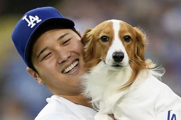 【悲報】大谷翔平さん「誰かがいじわるな質問とかしてくるので通訳が必要」