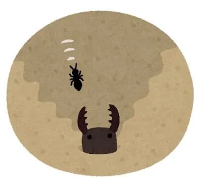 アリジゴクって名前酷いよな