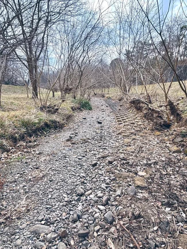【画像】東京の川、干上がってしまうｗｗｗｗｗｗｗｗｗｗｗｗ