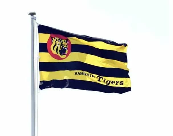 【阪神】具志川の練習試合DeNA戦は天候不良のため中止　球団が発表