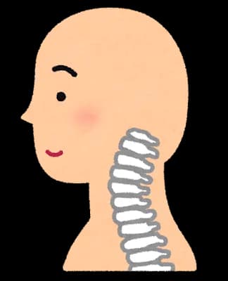 【芸能】首の脊髄が圧迫され緊急入院のマツコ・デラックス、長期休養の可能性　Netflix大型番組の収録は延期、復帰時期は「わからない」