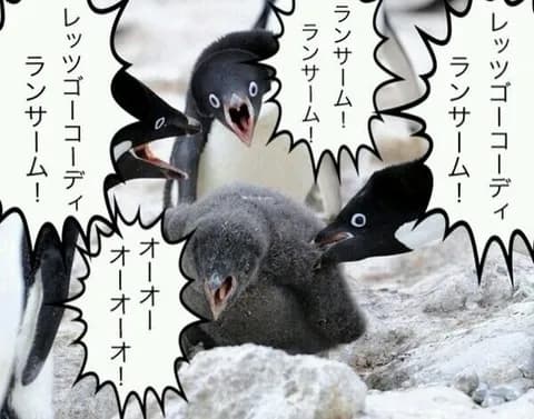 【動画】個人的に歌いにくいと思う選手別応援歌で打線組んだ