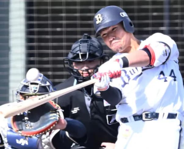 「ホームラン打って1周したところで怪我しました』←これ怖すぎるだろ