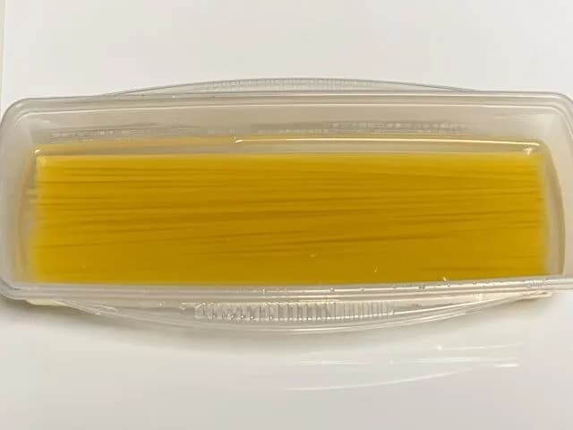 パスタ茹でるのめんどくさくてレンチンし出したら人間終わりだよな