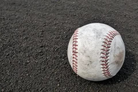 高校野球で「1校から複数チームの大会参加」検討「○○高A」「○○高B」　背景は「二極化」　懸念される点も