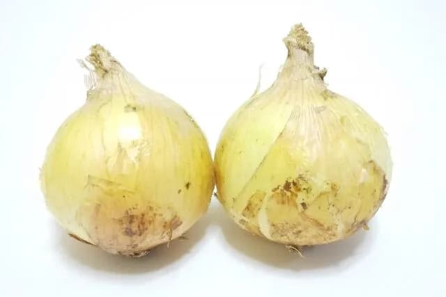 【急募】新玉ねぎの使い道