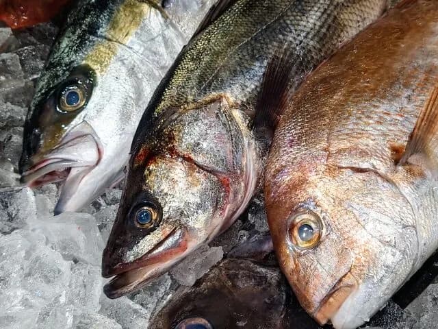 魚「高いです、調理めんどいです、食べるのめんどいです」←こんなん誰が買うねん