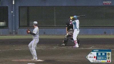 【日本ハム対阪神オープン戦】日本ハム・カストロ、阪神・岩貞から来日初アーチとなるオープン戦第1号2ランホームラン！！！！！！！！！！！！！！