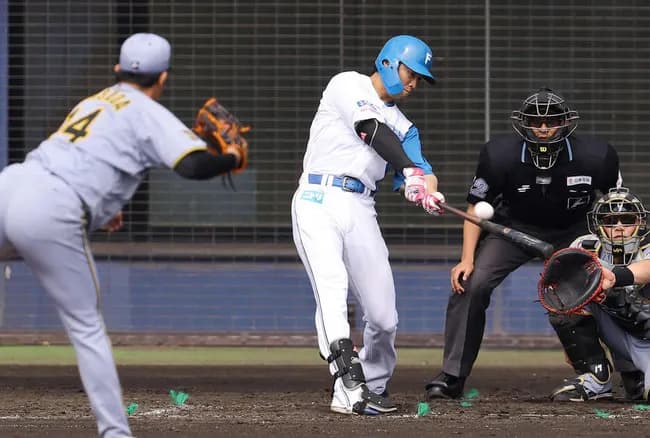 5年ぶり日ハム復帰した西川遥輝（33）、新庄監督の意向で『三振か本塁打か』のタイプにモデルチェンジ