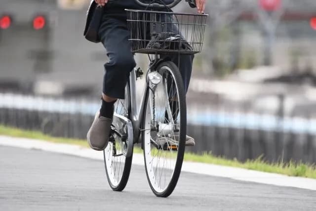 自転車ってなんで免許制にしないんや？