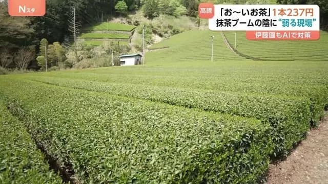 お～いお茶、172円→237円に値上げ…　世界的なブームで茶葉自体が不足