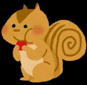 【動画】野生のリス、獲物を美味そうに食べる