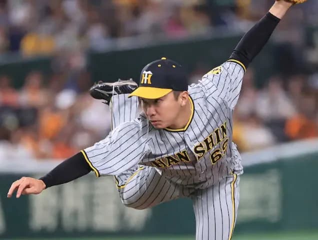 石井大智WAR1.1、デュプランティエWAR3.0 ← これなしの阪神の戦力