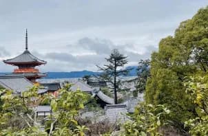 【悲報】京都市バス、よそ者は350～400円へ値上げｗｗｗｗｗｗｗｗｗ