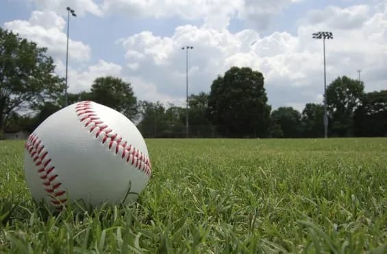 デッドボールを受け バットで殴る それは流石にあかんやろ