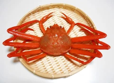 構成員が全員蟹の暴力団てヤベェだろ