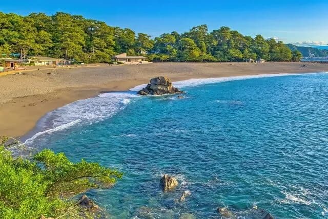 高知県←なに思い浮かべた？