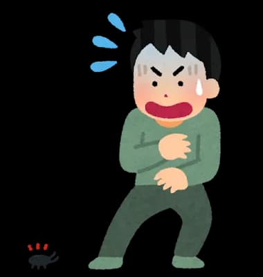 ワイ「いやああああゴキブリ～！」カサカサ