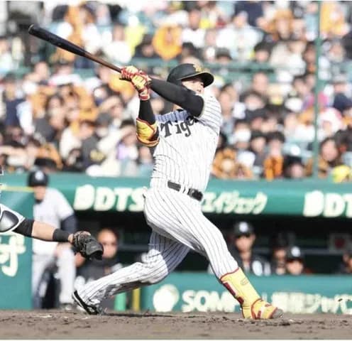 阪神　育成捕手の嶋村が“プロ1号”甲子園の右翼スタンドへアピール止まらない 支配下へまた前進