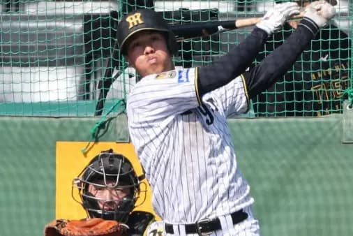 阪神のレフト争い、立石 中川 岡城 高寺 前川 この5人の争いになりそう