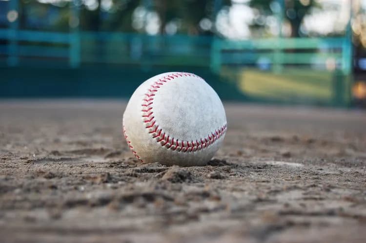 【朗報】日本に野球留学した台湾人、東大合格