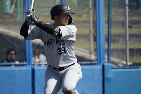 前阪神井上、ロッテのサード争いを制しそう