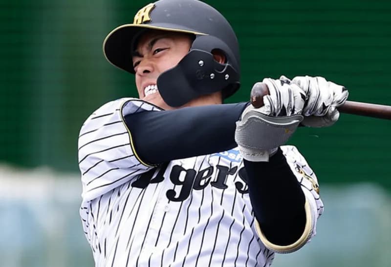 谷端将伍に文句つけてる奴らさぁ...プロ1年目にオープン戦でいきなり打てって無理だろ