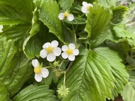 【悲報】他者を尊重するなら他者を尊重しない奴も尊重しなければならない←これｗｗｗｗｗｗｗｗｗｗｗｗｗｗｗｗ