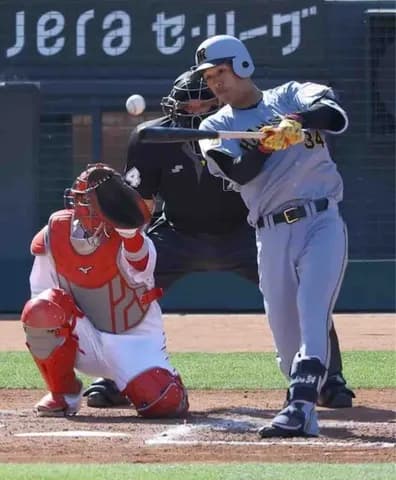 【阪神】ドラ３岡城快生が初スタメンで結果　島内の速球はじき返す「積極的な気持ちを忘れずに」