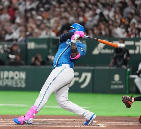 【日本ハム】主砲レイエス“お目覚め”26年実戦１号　左中間席中段に「いいタイミング」確信弾