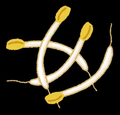 もやしオンリーの一番うまい食い方