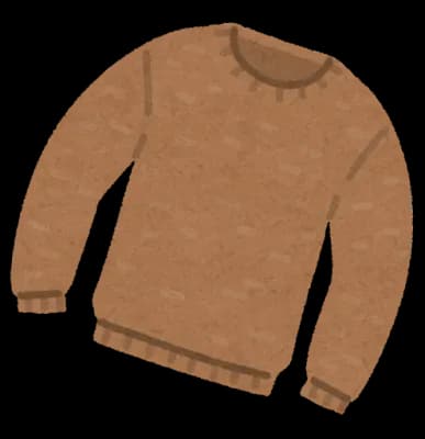 (´・ω・｀)セーターを着てこなかった人生だったけど着てみたらすごい暖かくて驚いた