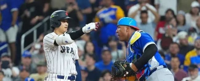 【疑問】S-大谷の打撃妨害チャレンジｗｗｗｗｗｗｗｗ