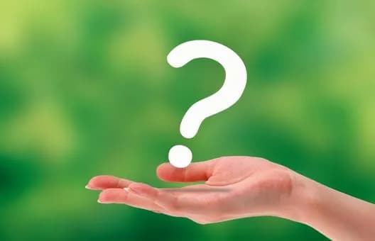 【疑問】ネットでは叩かれてるけど、実は好きなものｗｗｗｗｗｗｗ