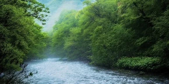 【画像】 環境に優しい集合住宅がヤバいｗｗｗｗｗｗｗｗｗｗｗ