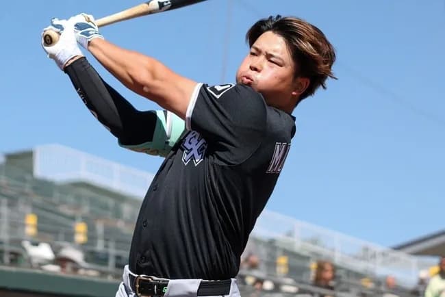 【悲報】村上宗隆さん、OP戦の三振率28%