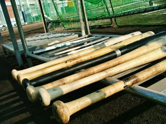 野球ってバッターだけバット選べるの卑怯じゃない？