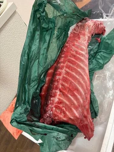 【画像】ネギトロ丸ごと一匹買った結果ｗｗｗｗｗｗｗｗｗｗ