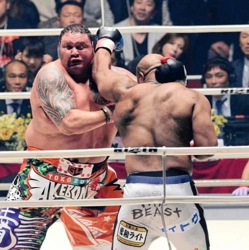 【画像】「素手の喧嘩なら力士が最強」←これｗｗｗｗｗｗｗｗｗｗ