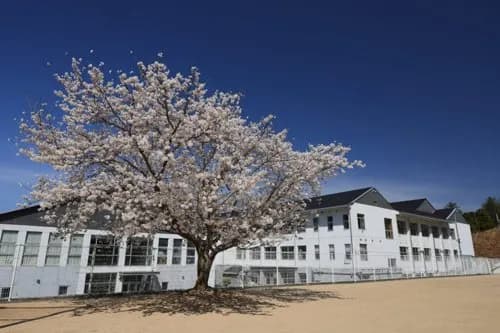 【悲報】京都の小学生さん、父親が学校敷地内まで送り届けたのに消えてしまう・・・・・・・・・