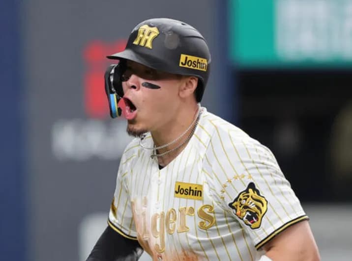 阪神「4試合で19打点です」「ですがホームランは1本だけです」←このチーム