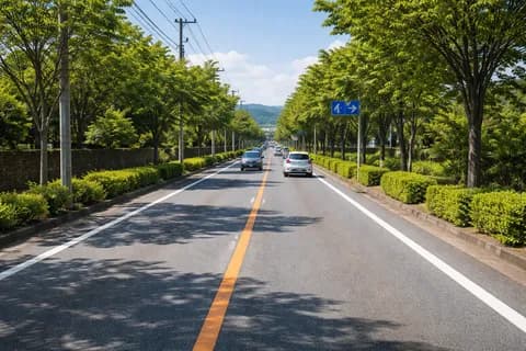【超悲報】日本の片側一車線の道路、道路交通法改正でガチで逝くwwwwwww