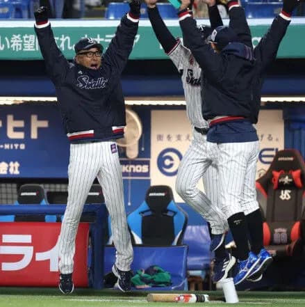 東京ヤクルトスワローズｗｗｗｗｗｗｗｗｗｗｗｗｗ