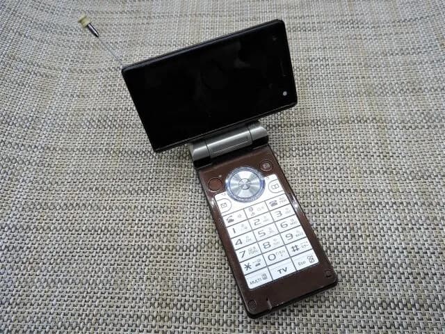 ガラケー時代にあったワンセグ視聴って何で廃れたんや？