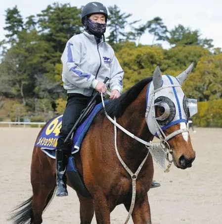 【大阪杯】 メイショウタバル　宝塚記念の再現や！