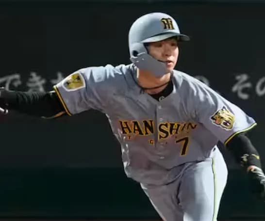 結局、中野拓夢の空振り疑惑は空振りではなくファールだったんだよな？