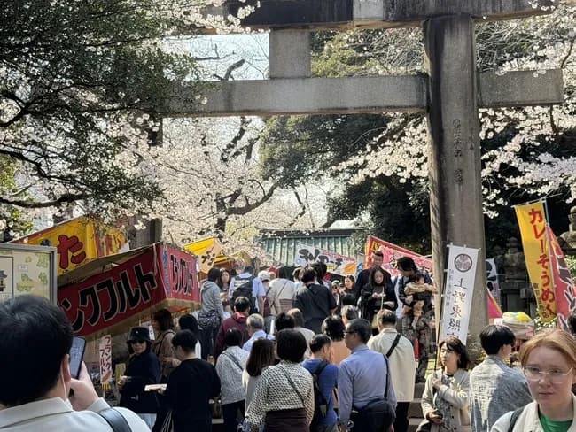 【画像】東京人さん、桜を見に上野公園に殺到ｗｗｗｗｗｗｗｗｗｗｗ