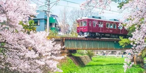 【動画】駅員「撮り鉄おるからハイビームしたろｗ」→撮り鉄さんの反応がヤバすぎるｗｗｗｗｗｗｗｗｗｗ